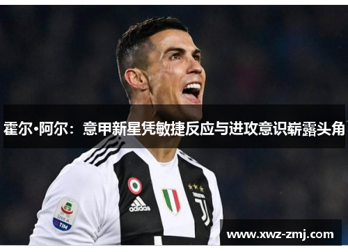 霍尔·阿尔:意甲新星凭敏捷反应与进攻意识崭露头角 霍尔·阿尔:意甲新星凭敏捷反应与进攻意识崭露头角