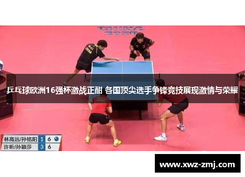 乒乓球欧洲16强杯激战正酣 各国顶尖选手争锋竞技展现激情与荣耀