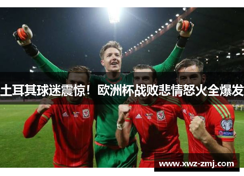 土耳其球迷震惊！欧洲杯战败悲情怒火全爆发