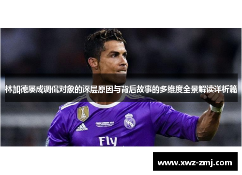 林加德屡成调侃对象的深层原因与背后故事的多维度全景解读详析篇