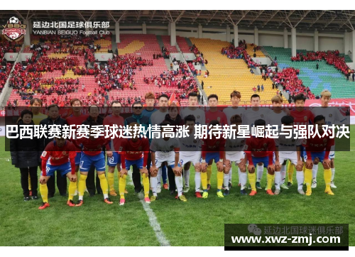 巴西联赛新赛季球迷热情高涨 期待新星崛起与强队对决